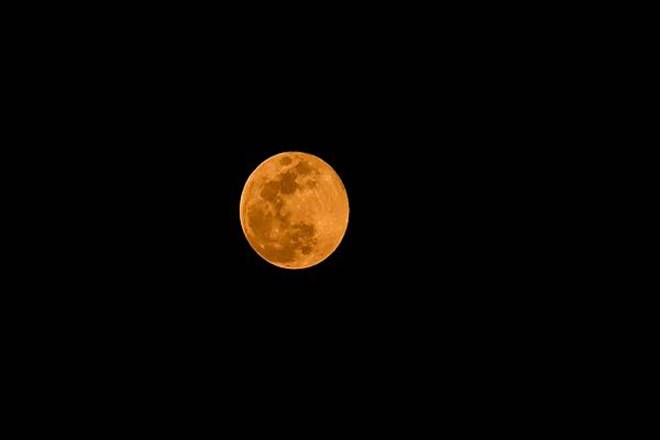 supermoon, full moon, flower supermoon, flower supermoon timings, super flower full moon, flower super moon 2020, flower super moon india, supermoon 2020