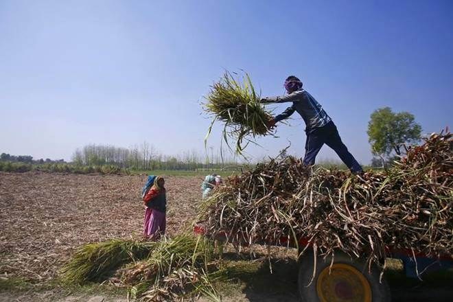 Computerisation of land records and their updation has to be top priority. It’s an open secret that a reform like land leasing requires strong political capital and commitment to the poor.