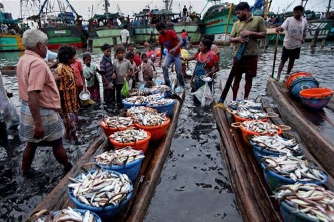 While official data of exports of marine products so far in the current fiscal are not immediately available, the decline during the period is seen to have been sharper than anticipated for the full year. 