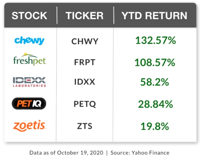 U.S. Pet-Care Stocks, Chewy, Freshpet, Idexx, PetIQ, Zoetis, Stockal, Wall Street, How to Invest in the US stock market from India, Trade US stocks from India, How to buy US stocks from india, Invest in US stocks from India