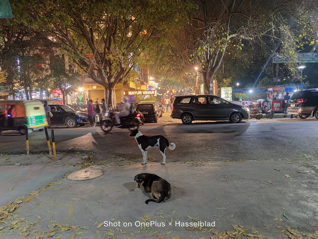 OnePlus, OnePlus 9 Pro, mobile photography, mobile, photography, OnePlus 9, mobile camera