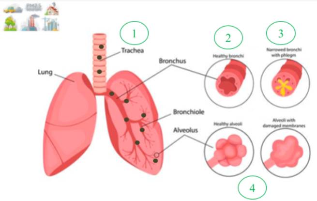 Covid-19, Air Pollution, AQI, Kartik Singhal, O2 Cure , Zeco Aircon, SARS-COV-2, carbon footprint, phi, PM 2.5