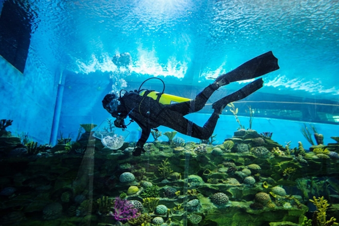 Aquatics gallery, science city