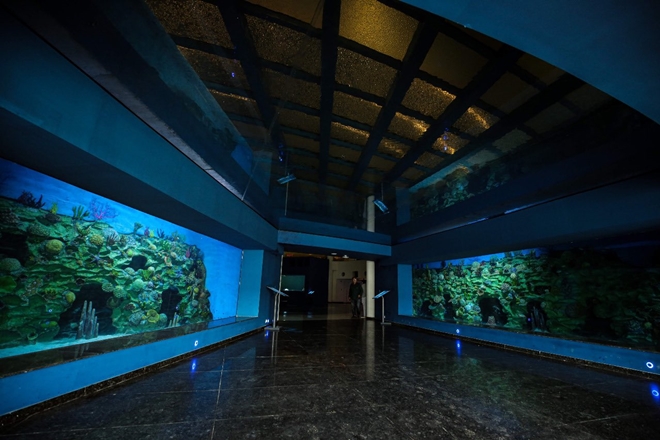 Aquatics gallery, Science City